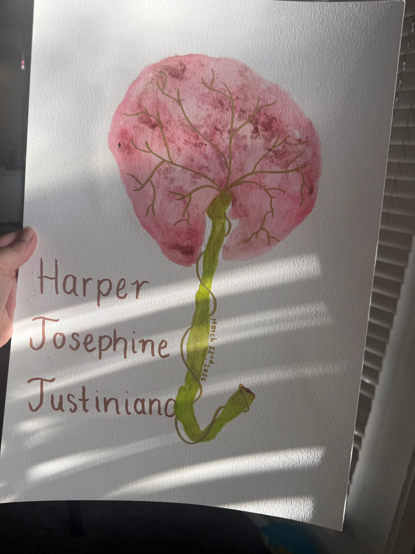 Placenta Art